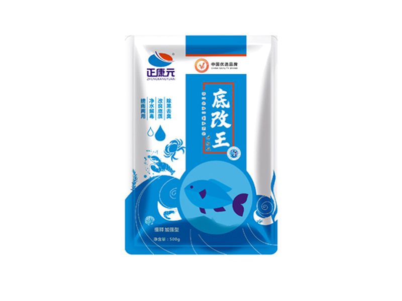底改王