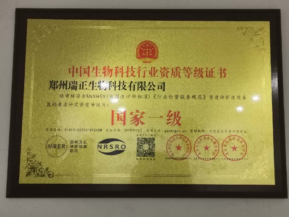 榮譽證書三